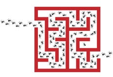 Ant Infestation Pest Problem Maze Puzzle stock illustration Ant Infestation Pest Problem Maze Puzzle stock illustration