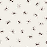 Ant monochromic pattern Royalty Free Stock Photos Ant monochromic pattern Royalty Free Stock Photos
