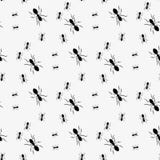 Ant Seamless Pattern Teste padrão sem emenda do vetor preto e branco com formigas Fundo animal ilustração royalty free Ant Seamless Pattern Teste padrão sem emenda do vetor preto e branco com formigas Fundo animal ilustração royalty free