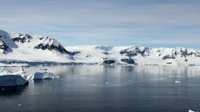 Antarctica Antarctica