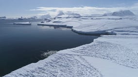 Antarctica landscape, penguins starting to swim.