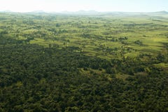 Antenner av linjen för staket för Lewa naturvårdvisning av skyddade områden och encroachinglantbruket i Kenya, Afrika royaltyfri foto Antenner av linjen för staket för Lewa naturvårdvisning av skyddade områden och encroachinglantbruket i Kenya, Afrika royaltyfri foto