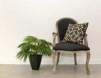 Antique Armchair And Plant Near Wall Royalty Free Stock Images Antique Armchair And Plant Near Wall Royalty Free Stock Images