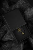 Antique Golden Key in an Open Black Box stock photos Antique Golden Key in an Open Black Box stock photos