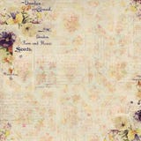Antique Vintage style botanical floral framed background royalty free illustration Antique Vintage style botanical floral framed background royalty free illustration