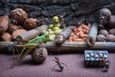 Ants teach grasshopper to work , ant tales royalty free stock photos Ants teach grasshopper to work , ant tales royalty free stock photos
