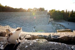 Antyczny teatr Epidaurus lub ` Epidavros `, Argolida prefektura, Peloponnese zdjęcie stock Antyczny teatr Epidaurus lub ` Epidavros `, Argolida prefektura, Peloponnese zdjęcie stock