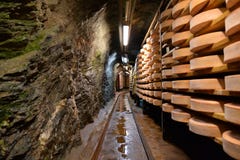Aosta valley Fontina Italian cheese. Traditional cave aging storage. Stock Image Aosta valley Fontina Italian cheese. Traditional cave aging storage. Stock Image