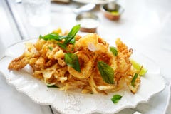 ap?ritif croustillant frit de calmar photos stock ap?ritif croustillant frit de calmar photos stock
