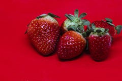 More Strawberries on a Red Background stock image More Strawberries on a Red Background stock image