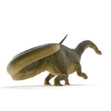 Apatosaurusdinosaurus op wit 3D Illustratie royalty-vrije illustratie Apatosaurusdinosaurus op wit 3D Illustratie royalty-vrije illustratie