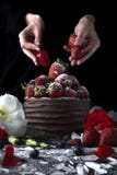 Apelmácese con el chocolate que adorna con la fresa y las flores Fotografía de archivo libre de regalías Apelmácese con el chocolate que adorna con la fresa y las flores Fotografía de archivo libre de regalías
