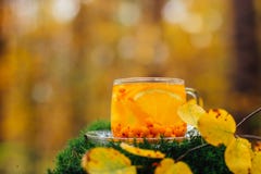 Apelsin- och hav-buckthorn te i en kopp royaltyfria bilder Apelsin- och hav-buckthorn te i en kopp royaltyfria bilder