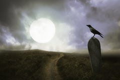 Halloween background with raven and grave