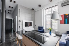 Appartement avec les tuiles grises de mur image stock Appartement avec les tuiles grises de mur image stock