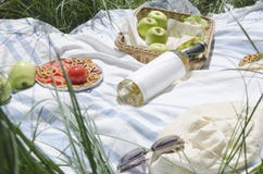 Appelen, koekjes, fles witte wijn, sandwiches, hoed en zonnebril op de deken Picknickconcept op het groene gras stock foto Appelen, koekjes, fles witte wijn, sandwiches, hoed en zonnebril op de deken Picknickconcept op het groene gras stock foto