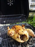 Appetizing fried chicken cooked in a barbecue over charcoal royalty free stock photography Appetizing fried chicken cooked in a barbecue over charcoal royalty free stock photography