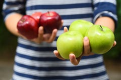 Apple-fruitholding met de hand, Apple-het plukken stock afbeeldingen Apple-fruitholding met de hand, Apple-het plukken stock afbeeldingen