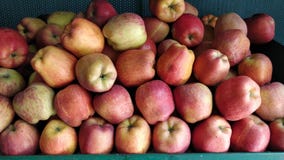 Apple op rek wordt geschikt dat royalty-vrije stock foto's Apple op rek wordt geschikt dat royalty-vrije stock foto's