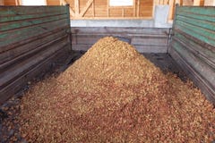 Apple pomace on a trailer stock image Apple pomace on a trailer stock image