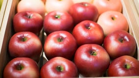 Apple se ha vendido en supermercados fotos de archivo Apple se ha vendido en supermercados fotos de archivo