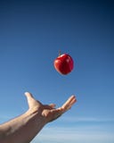 Apple vermelho que flutua no ar fotografia de stock royalty free Apple vermelho que flutua no ar fotografia de stock royalty free
