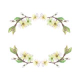 Apple vit blomningkrans royaltyfri illustrationer Apple vit blomningkrans royaltyfri illustrationer