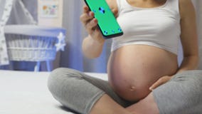 Appli de traqueur de grossesse d'utilisation de jeune femme Appli de traqueur de grossesse d'utilisation de jeune femme