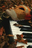 Appreciating Arts Among Autumn Leaves Stock Images Appreciating Arts Among Autumn Leaves Stock Images