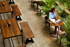 Apprendimento, studiando Donna che per mezzo del computer portatile al caffè, lavorante fotografia stock libera da diritti Apprendimento, studiando Donna che per mezzo del computer portatile al caffè, lavorante fotografia stock libera da diritti