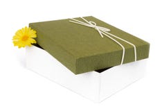 Apra il contenitore di regalo isolato su fondo bianco Fotografia Stock Apra il contenitore di regalo isolato su fondo bianco Fotografia Stock