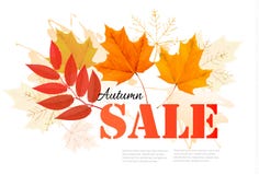Aprecie a bandeira de Autumn Sales com folhas de outono ilustração stock Aprecie a bandeira de Autumn Sales com folhas de outono ilustração stock