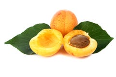 Apricot Royalty Free Stock Image