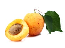 Apricot Stock Image