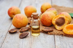 Apricot oil in a small jar. selective focus. stock photography Apricot oil in a small jar. selective focus. stock photography