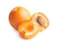 Apricots isolated on white background royalty free stock photo Apricots isolated on white background royalty free stock photo