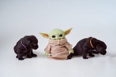 April, 2021: The Child, Grogu or baby Yoda, fictional character from the TV series The Mandalorian with black labrador