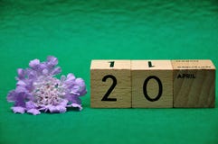20 April on wooden blocks with a purple flower royalty free stock images 20 April on wooden blocks with a purple flower royalty free stock images