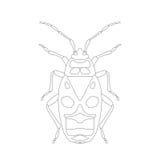 Apterus de Pyrrhocoris coléoptère Insecte-soldat Croquis de scarabée Scarabée sur le fond blanc conception de scarabée pour livre Photo libre de droits Apterus de Pyrrhocoris coléoptère Insecte-soldat Croquis de scarabée Scarabée sur le fond blanc conception de scarabée pour livre Photo libre de droits