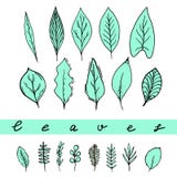 Aqua leaves set stock illustration Aqua leaves set stock illustration