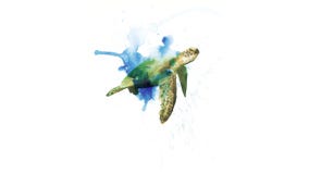Aquarela da tartaruga de mar ilustração royalty free Aquarela da tartaruga de mar ilustração royalty free