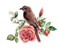 Aquarellblumenstrauß mit Vogel und stieg Handgemalte Blumenillustration mit rosa Blume, dogrose, Snowberries, Blätter lizenzfreie abbildung Aquarellblumenstrauß mit Vogel und stieg Handgemalte Blumenillustration mit rosa Blume, dogrose, Snowberries, Blätter lizenzfreie abbildung