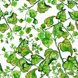 Aquarelle sans couture avec des branches et des feuilles Photographie stock Aquarelle sans couture avec des branches et des feuilles Photographie stock