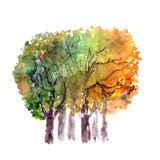 Aquarelllandschaft mit Bäumen Altes gelbes Papier auf dunklem Hintergrund lizenzfreie abbildung Aquarelllandschaft mit Bäumen Altes gelbes Papier auf dunklem Hintergrund lizenzfreie abbildung