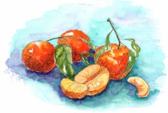 Aquarelltangerinen auf einem blauen Hintergrund stock abbildung Aquarelltangerinen auf einem blauen Hintergrund stock abbildung