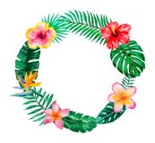 Aquarelltropischer Blumenillustrationskranz für die Heirat, Jahrestag, Geburtstag, Einladungen, Karten, Daten, usw. Sparen Sie da lizenzfreies stockbild Aquarelltropischer Blumenillustrationskranz für die Heirat, Jahrestag, Geburtstag, Einladungen, Karten, Daten, usw. Sparen Sie da lizenzfreies stockbild