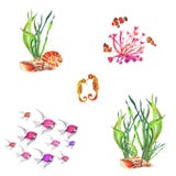 Aquarellzusammensetzungen von Wasserpflanzen, Korallen, Clownfische, Seepferdchen vektor abbildung Aquarellzusammensetzungen von Wasserpflanzen, Korallen, Clownfische, Seepferdchen vektor abbildung