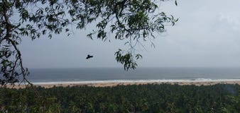 Aquila trivandrum della sabbia delle onde del mare della scogliera immagine stock libera da diritti Aquila trivandrum della sabbia delle onde del mare della scogliera immagine stock libera da diritti