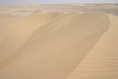 Arabian Sandstorm Royalty Free Stock Photography Arabian Sandstorm Royalty Free Stock Photography