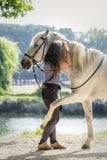 Arabisch paard die zijn eigenaar Irene Gefaell koesteren die natuurlijke dressuur in het park in Pontevedra, Spanje, in augustus stock fotografie Arabisch paard die zijn eigenaar Irene Gefaell koesteren die natuurlijke dressuur in het park in Pontevedra, Spanje, in augustus stock fotografie